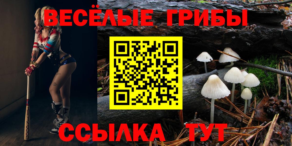 Галлюциногенные грибы Magic Shrooms  Вход с VPN  Ростов Великий 