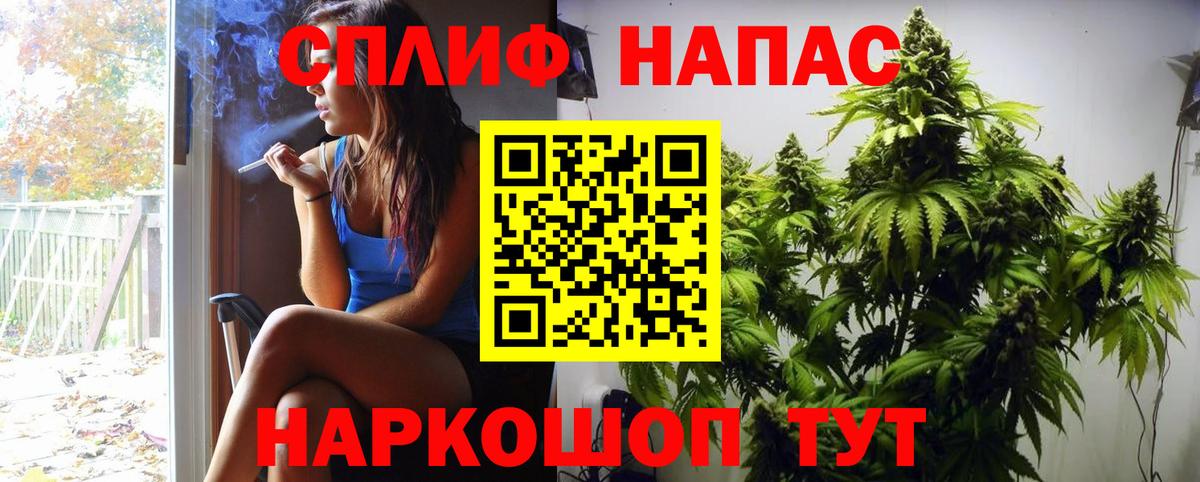 Шишки марихуана марихуана Ростов Великий
